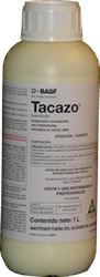 Tacazo